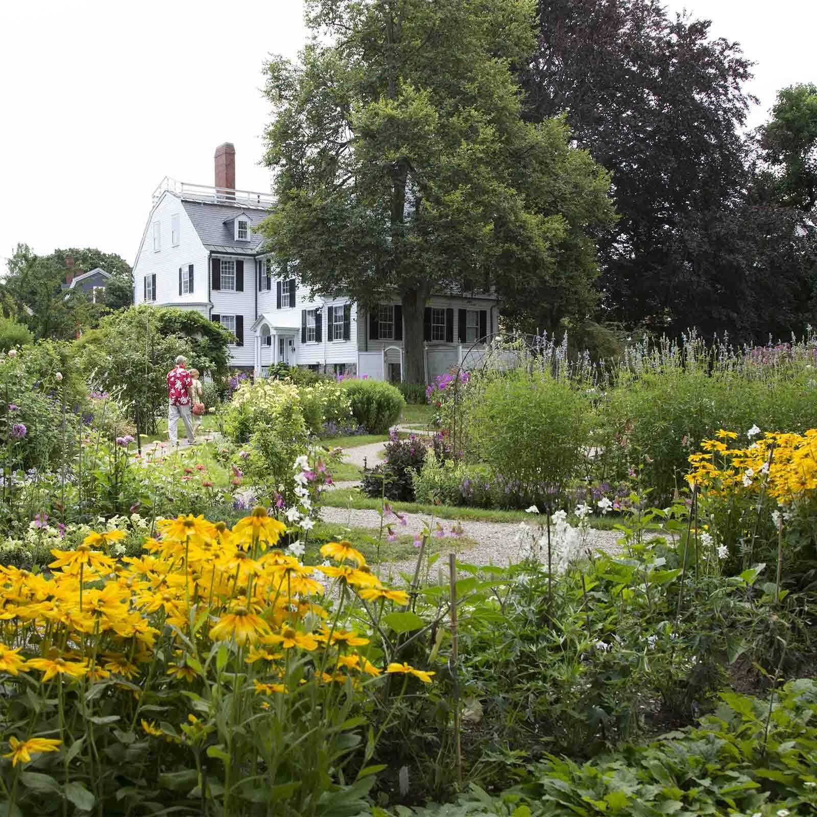 Forest Bathing & Dreamscapes in the Ropes Mansion Garden