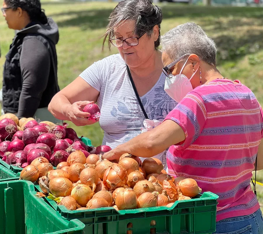 Groundwork Farmer's Market