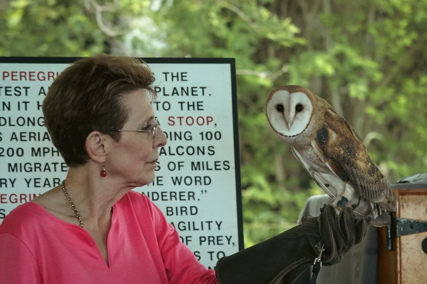 Falconry and the Medieval World: A Live Bird Presentation