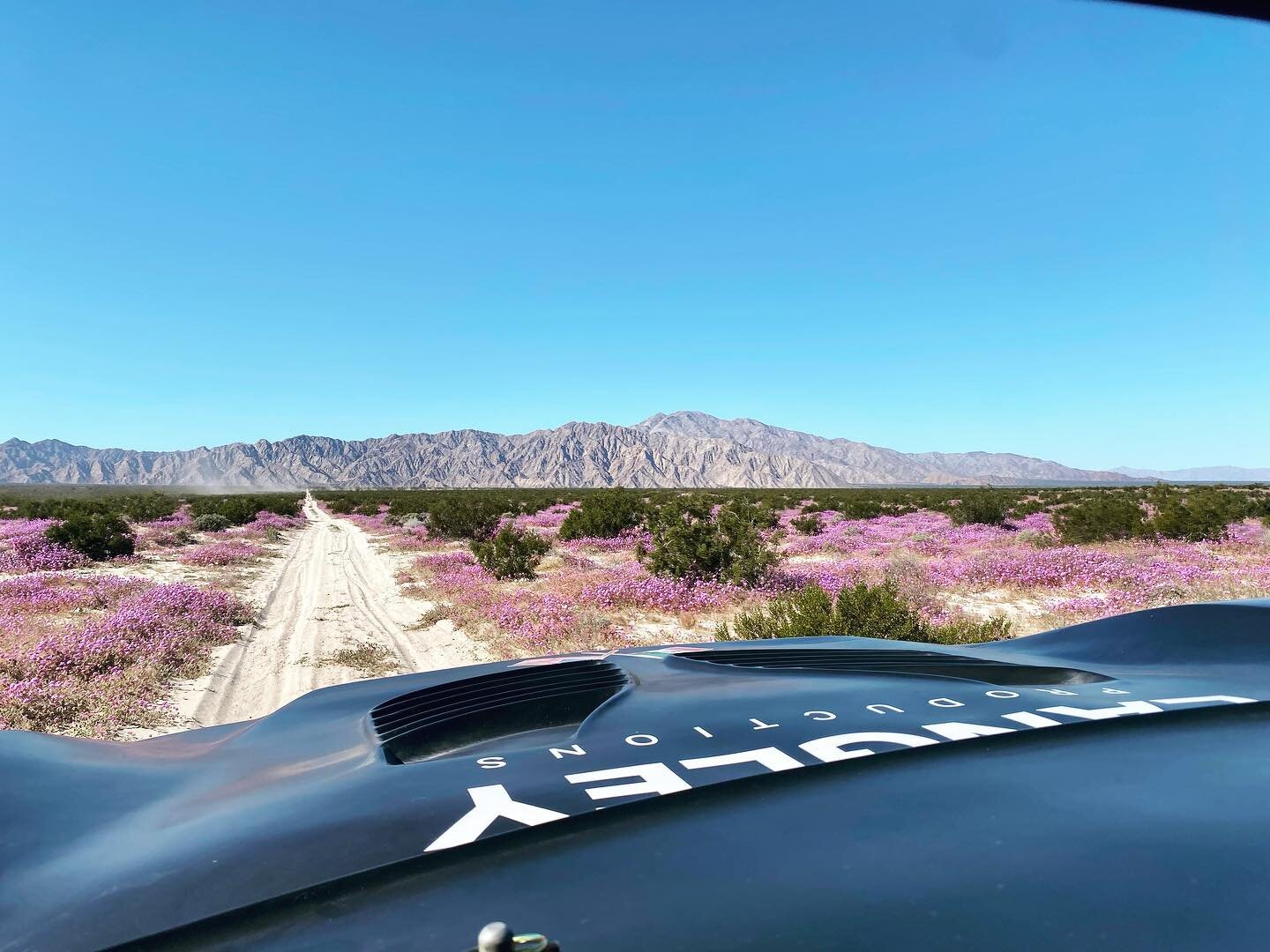 Prerunning the @sfdesert_mayhem #eljefe300 It&rsquo;s beautiful here and the course is fast and fun. Come down and race or spectate this Saturday @fkrodends #fkrodends #teamfk
@maglock_usa #maglock @BFGoodrichTires #bfgoodrichtires #bfgracing 
@maxim