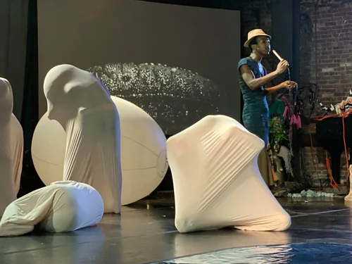 Evolving Amoebae, 
Photo Credit: Stephen Black