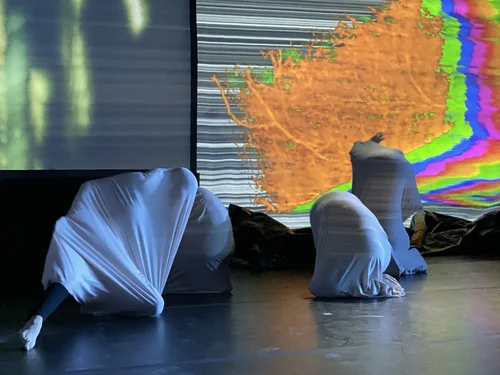 Evolving/Mutating, 
Photo Credit: Stephen Black