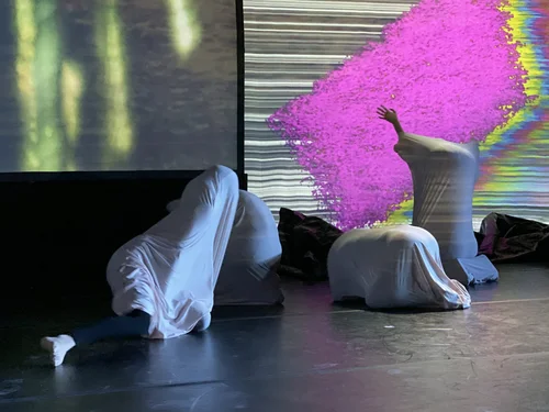 Evolving/Mutating 2, 
Photo Credit: Stephen Black