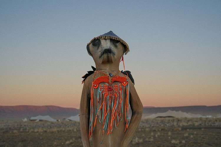 Afrika Burn film recap 🎞️🐆 A lot of dusty smiles and heartwarming moments are packed into this post 🥰🥰 #afrikaburn #filmphotos #disposablecamera #southafrica