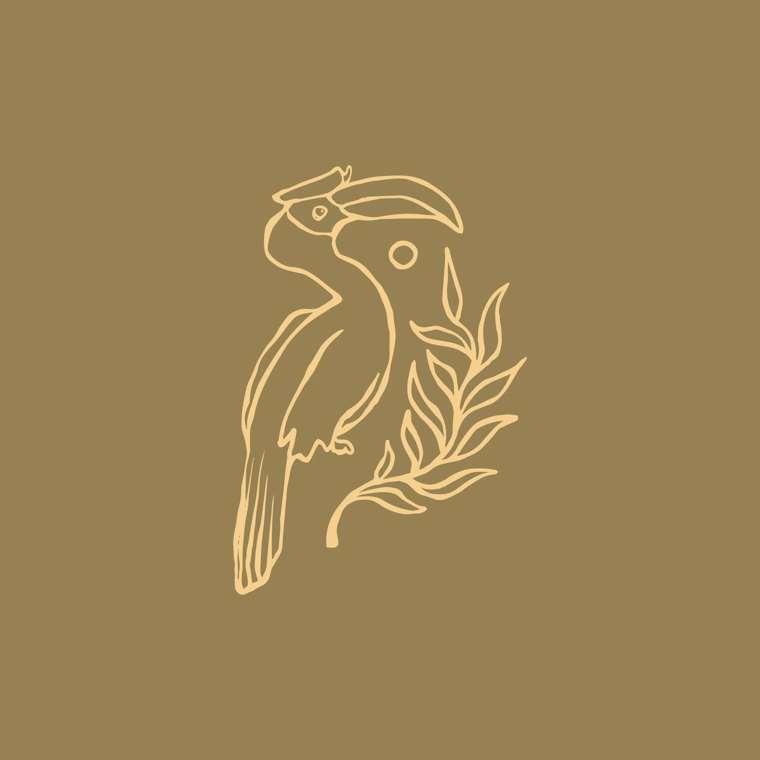 Tropciool Stock Art_Hornbill-46.jpg