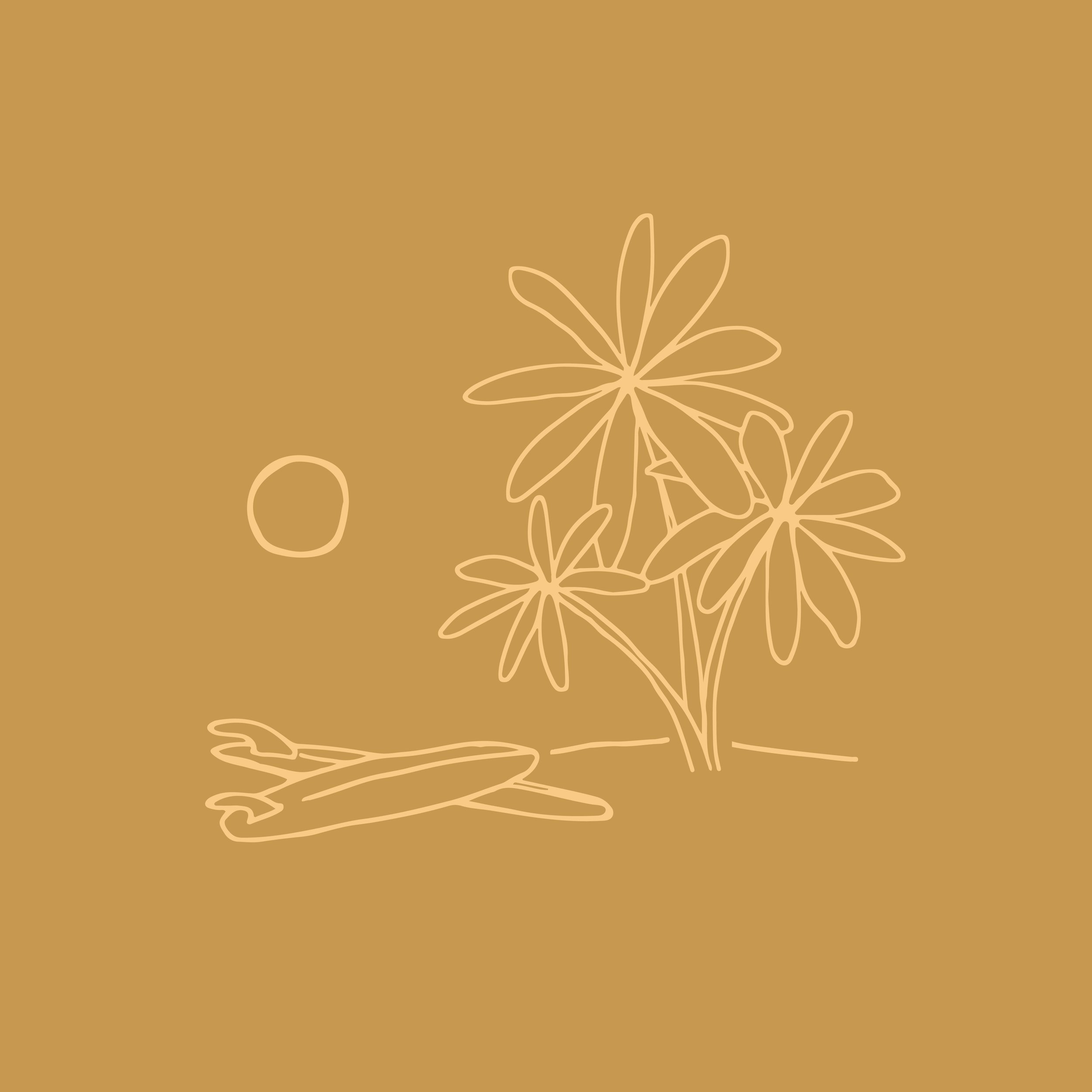 Tropciool Stock Art_Surfboard Beach Stack-01.jpg