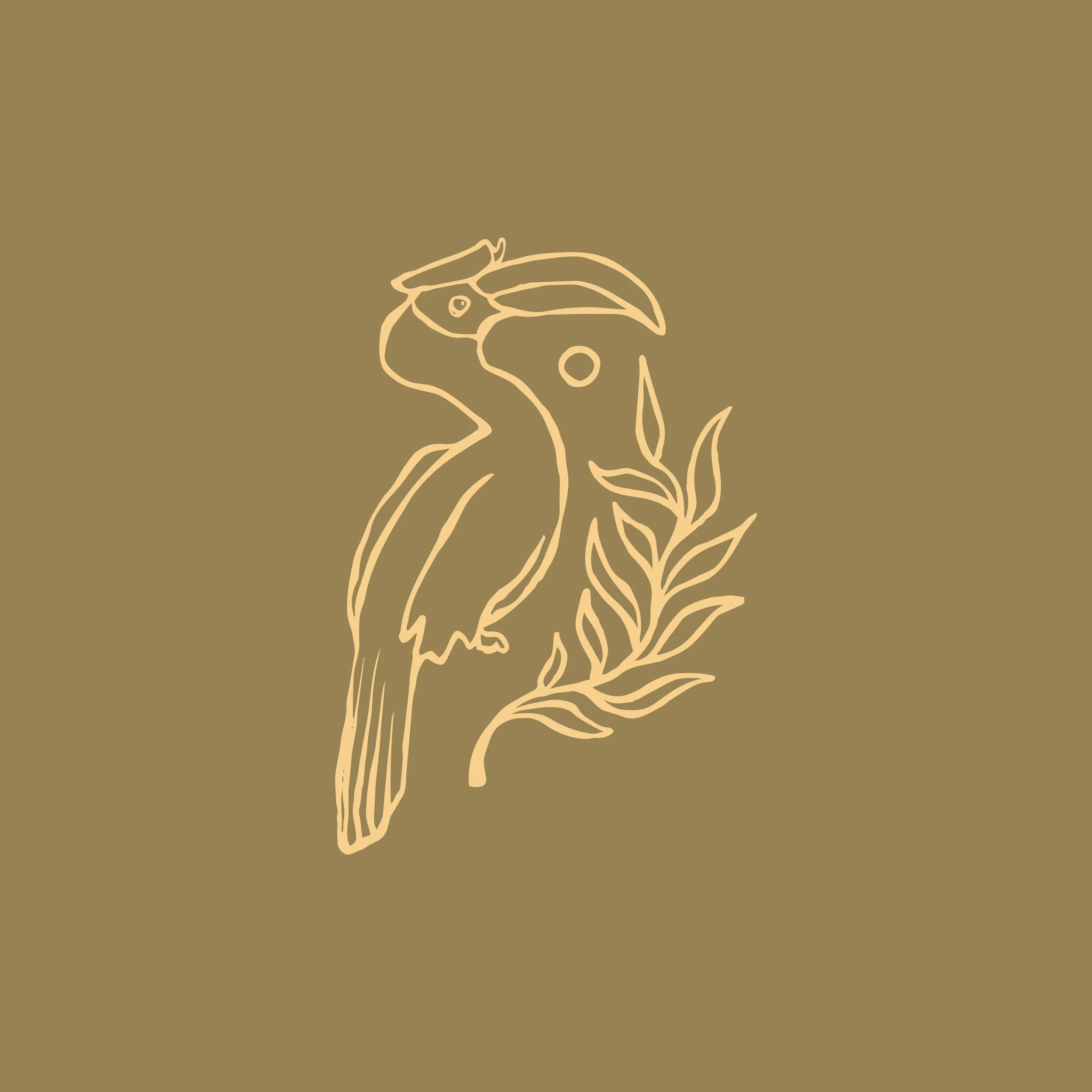 Tropciool Stock Art_Hornbill-41.jpg