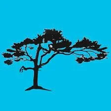 Transcendent SoundPatternless ambient soundSynapticats, Inc.Designed for iPhone