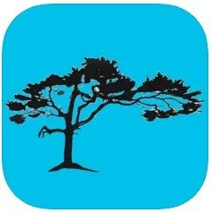 Check out our new sound "Starship" on the Transcendent Sound app!