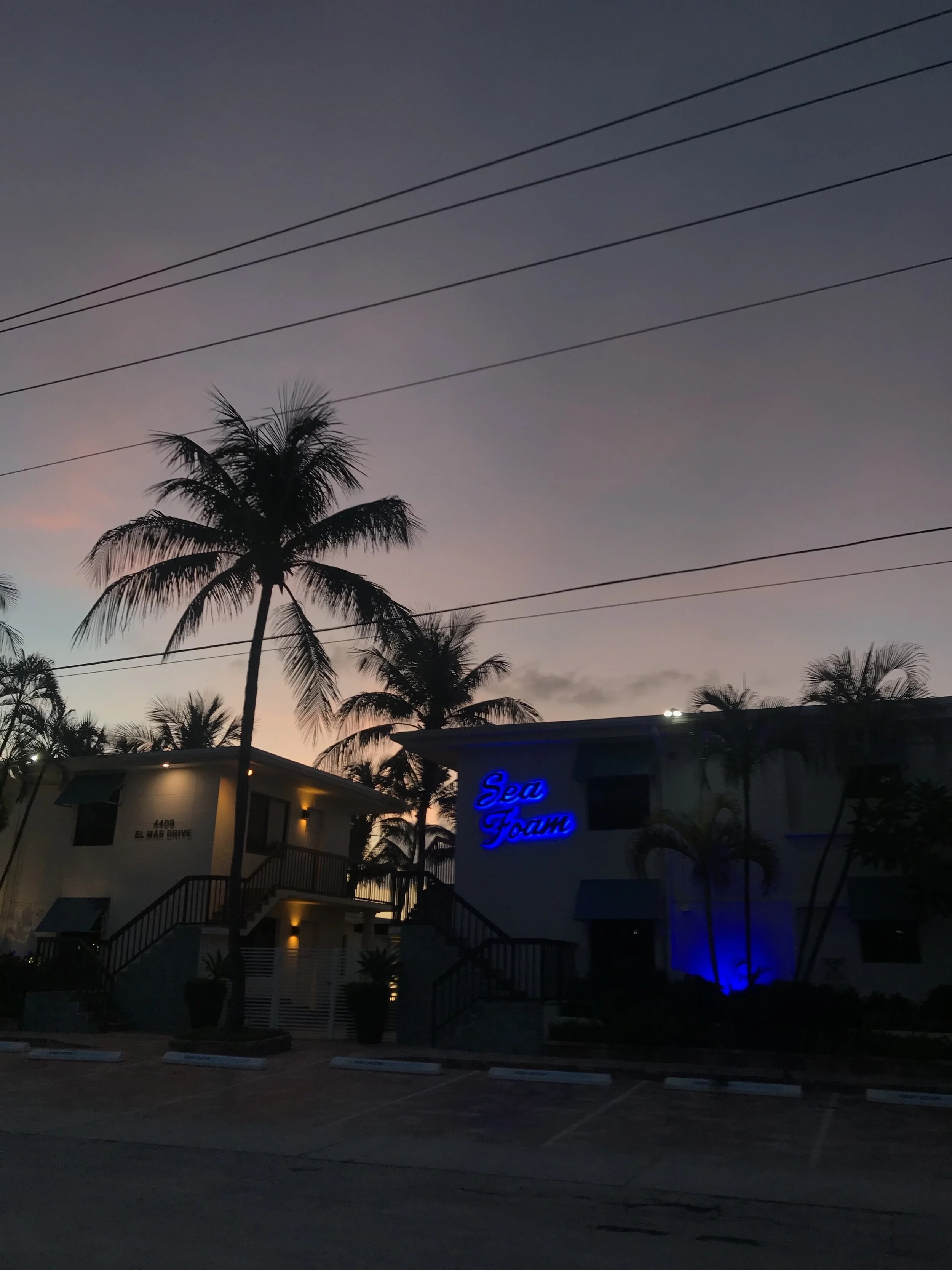 Blog Post 1
