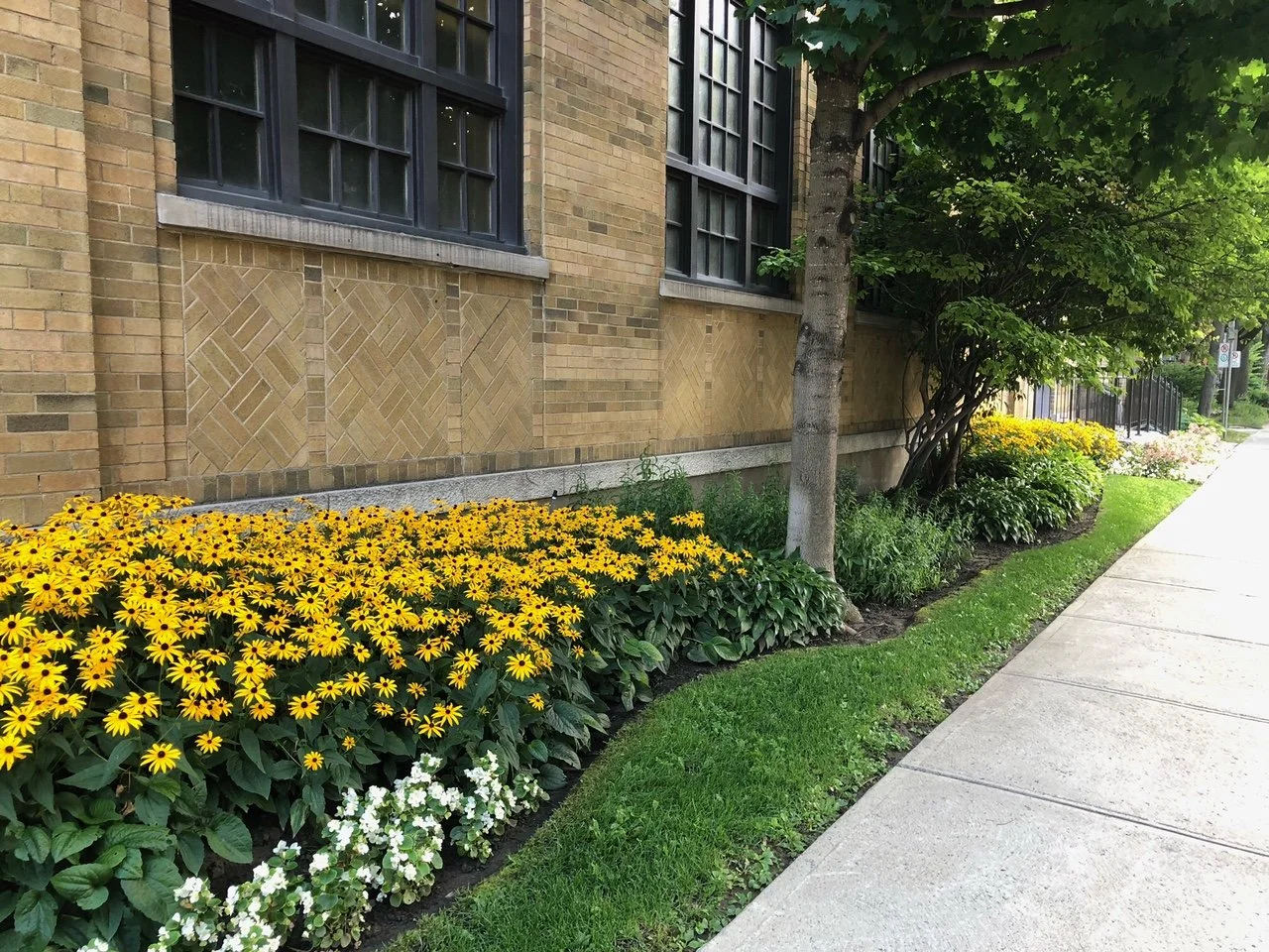 Synagogues are Ditching the Paper Plates and Installing Solar Panels as They Make Environmentally Conscious Choices