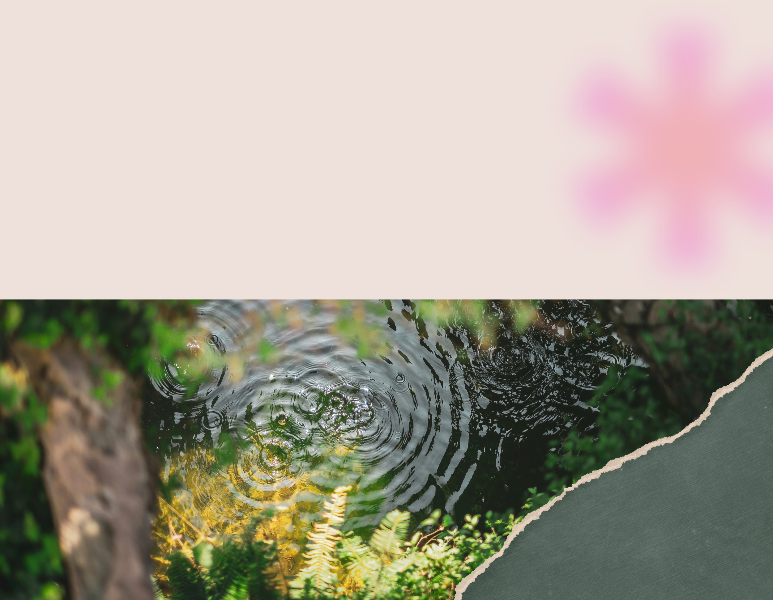 Opt In Background (2).png