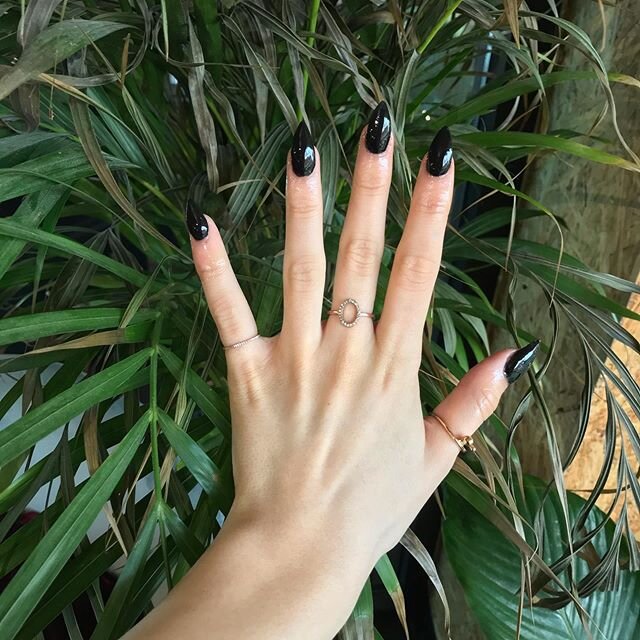 🖤 glossy black stiletto acrylics 🖤 -
-
-
-
-
-
- #nails #acrylicnails #nailsmanchester #mcrnails #hatchmcr #stilettonails #blackgloss #plants #manchester
