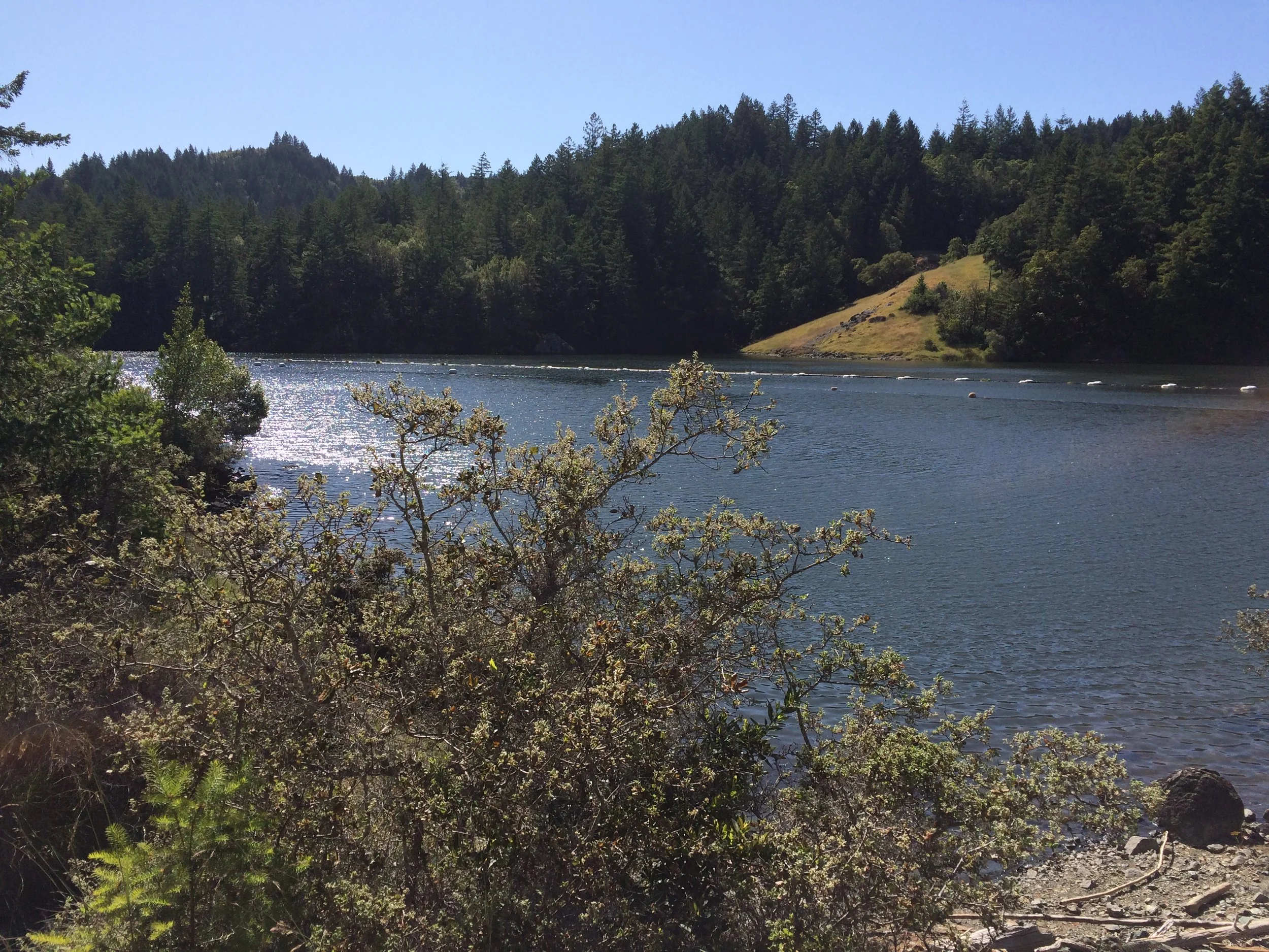 Are you part of my Spirit Family? Show me with words. Show me with a donation.