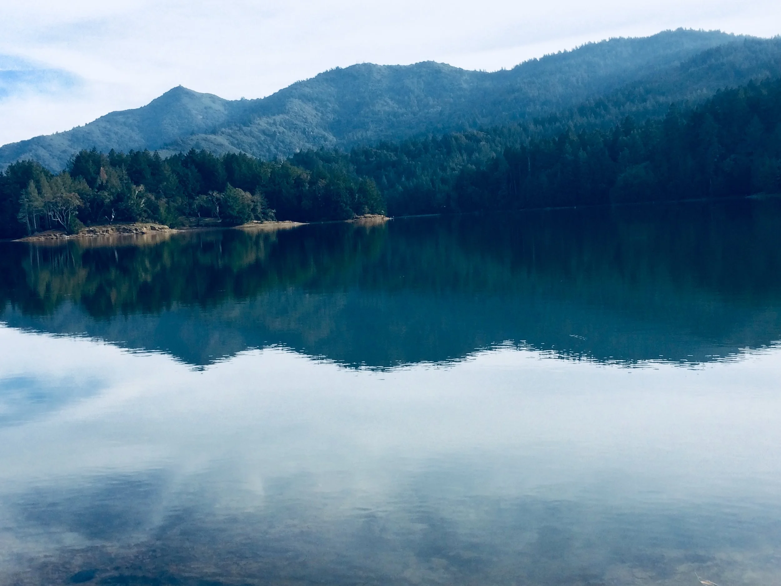 2018: Take a position and commit