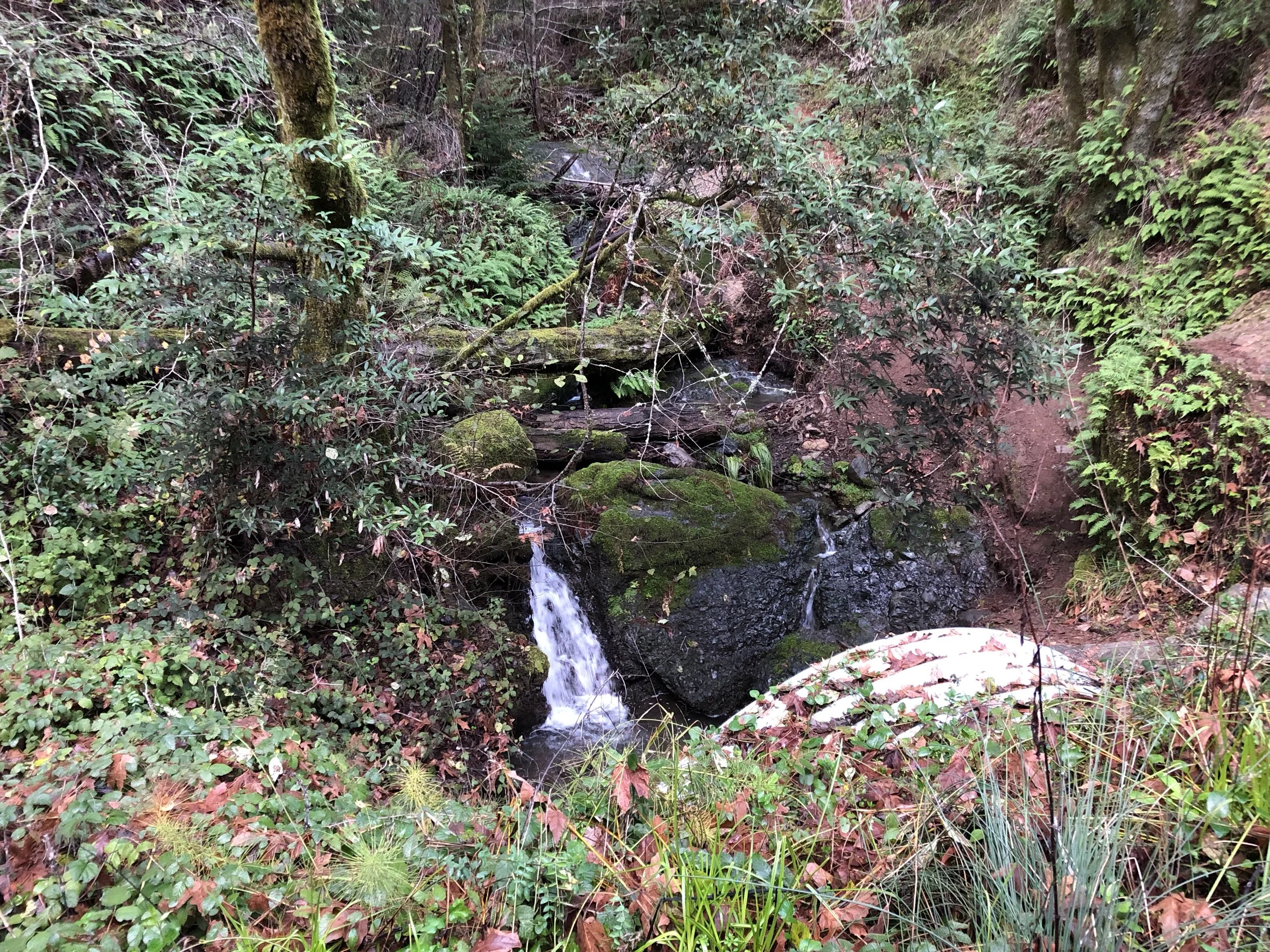 Am I Safe To Be Beautiful?