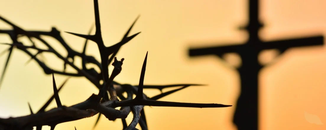 Partaking in Christ's Sufferings