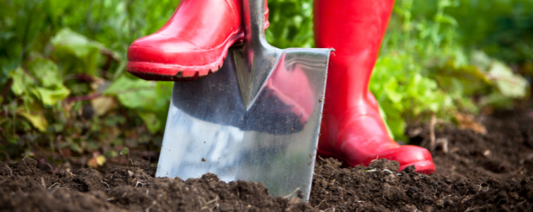 Digging Deep