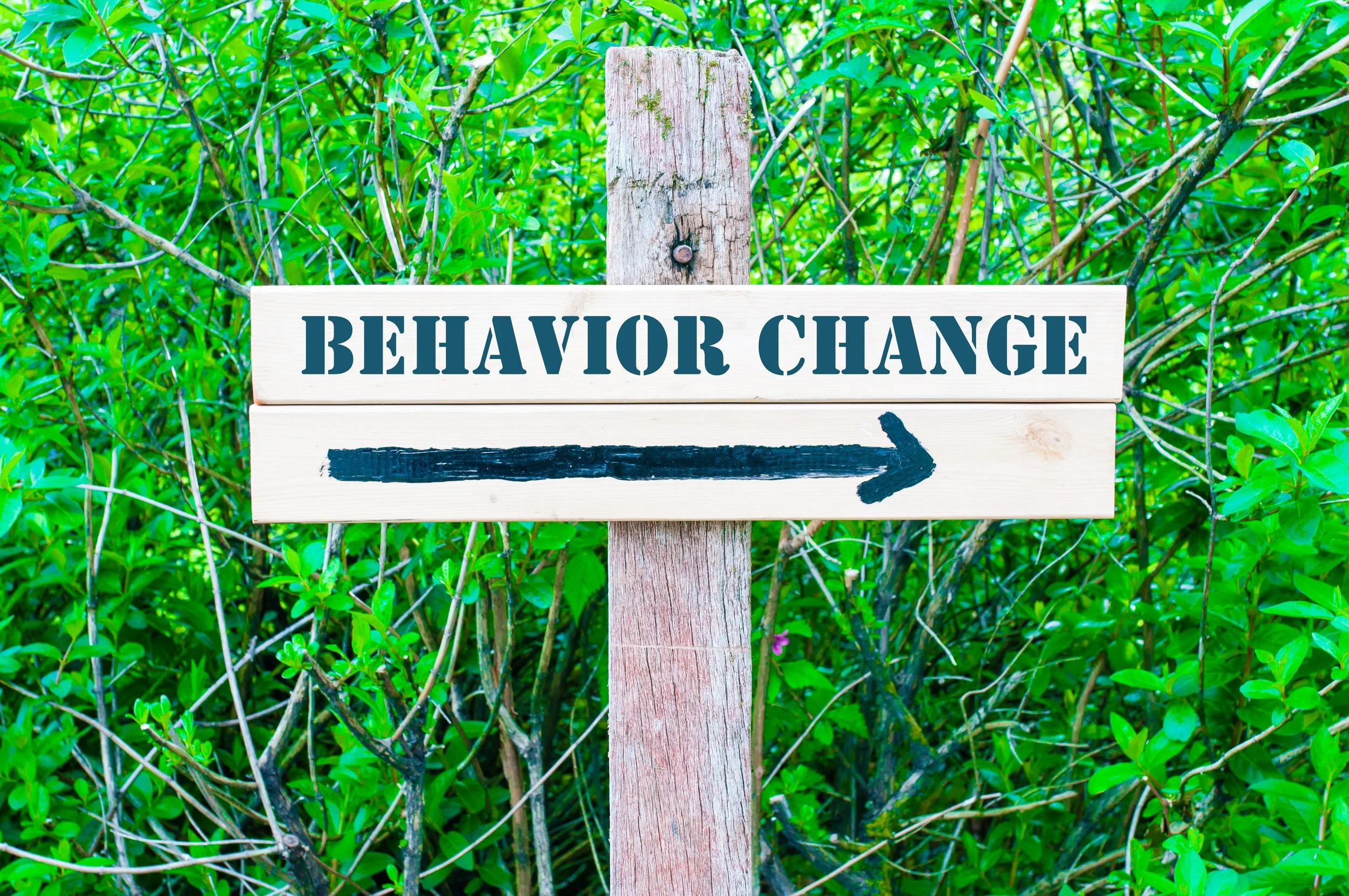 Why You Need a Behavior Design Model