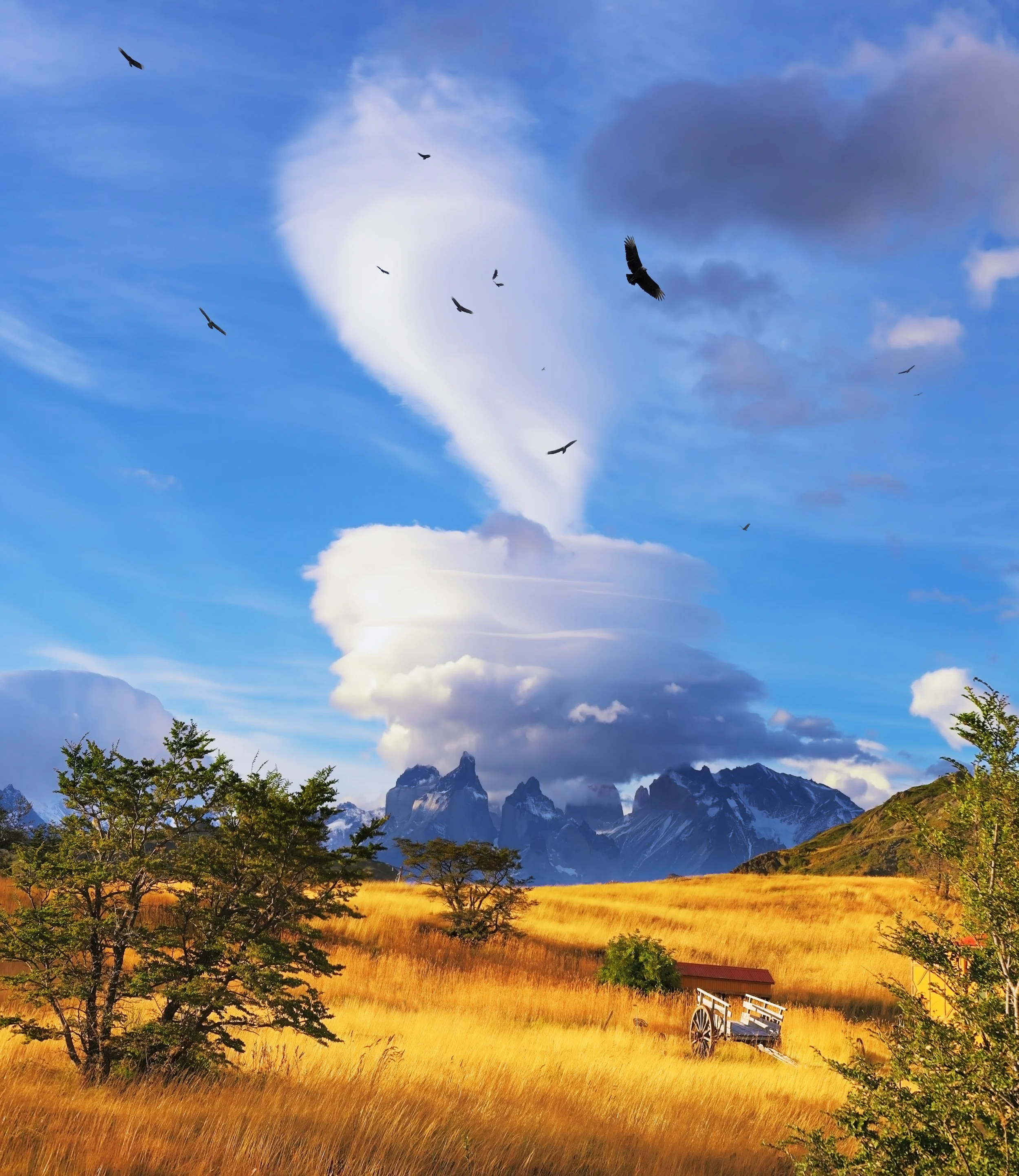 A landscape with golden grass, a few scattered trees, a mountain range in the background, and a partly cloudy sky with several birds flying.