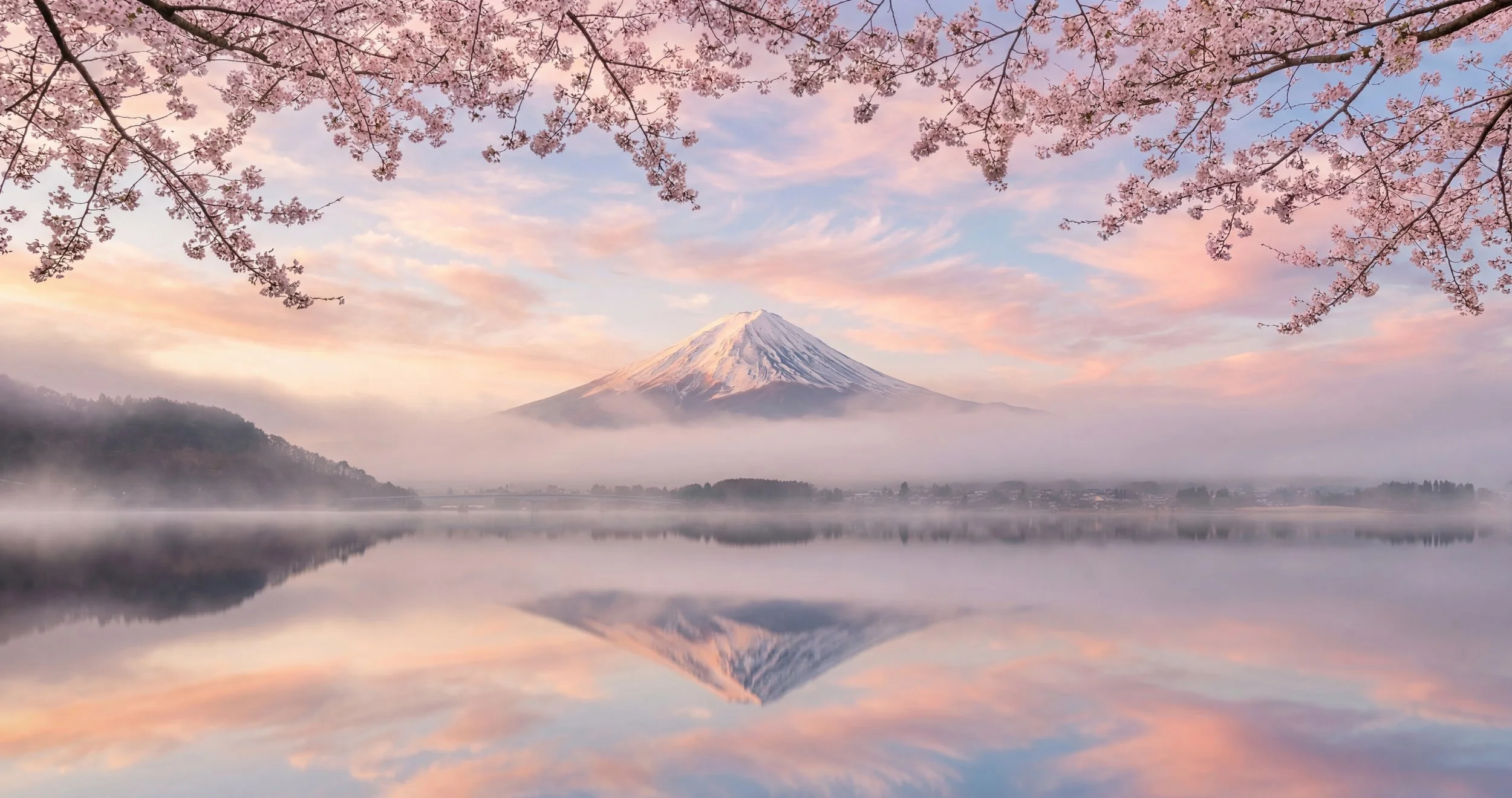 Cherry Blossom.jpg