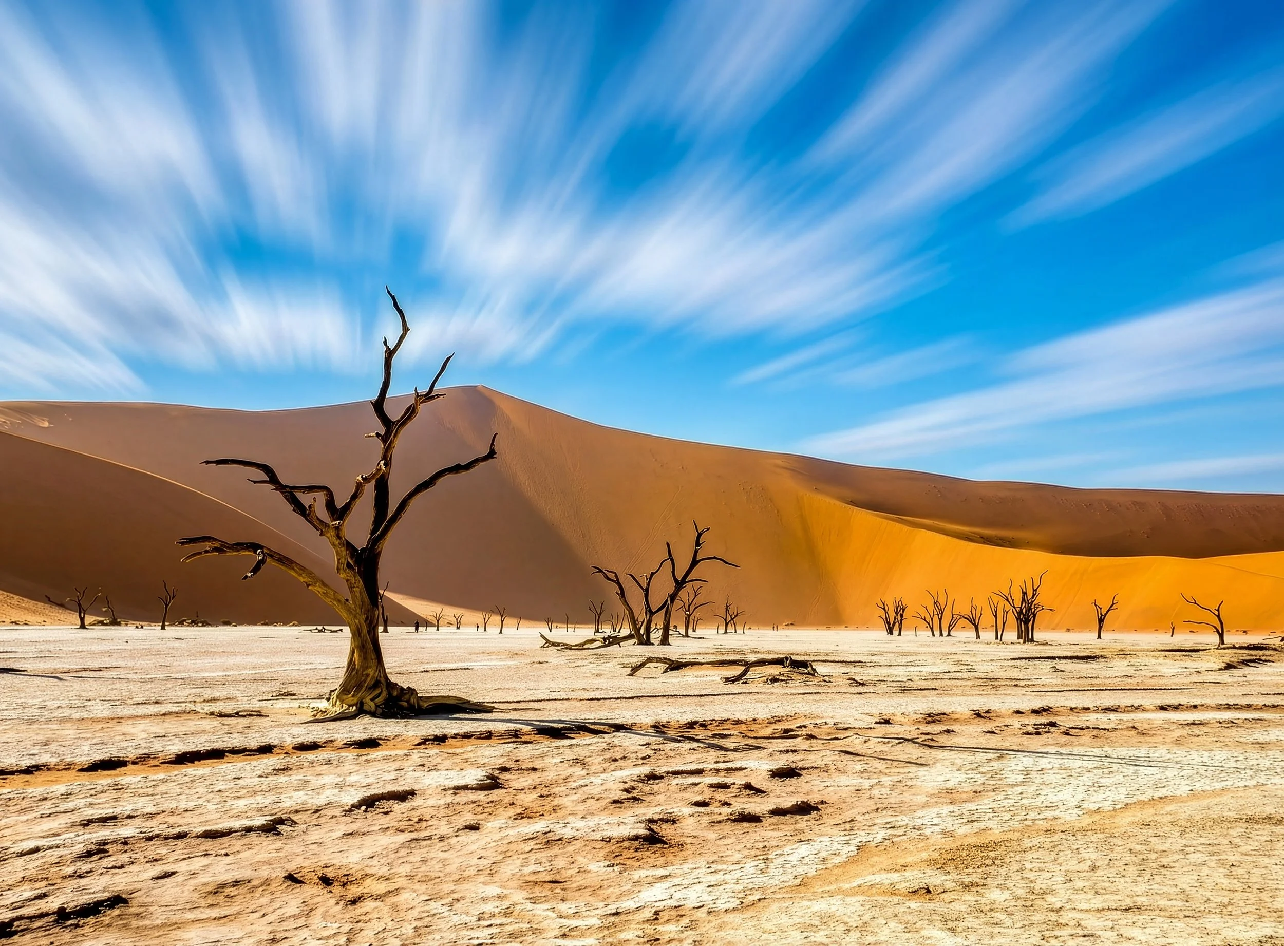 Desert landscape with dead trees, sand dunes, and a blue sky with wispy clouds.