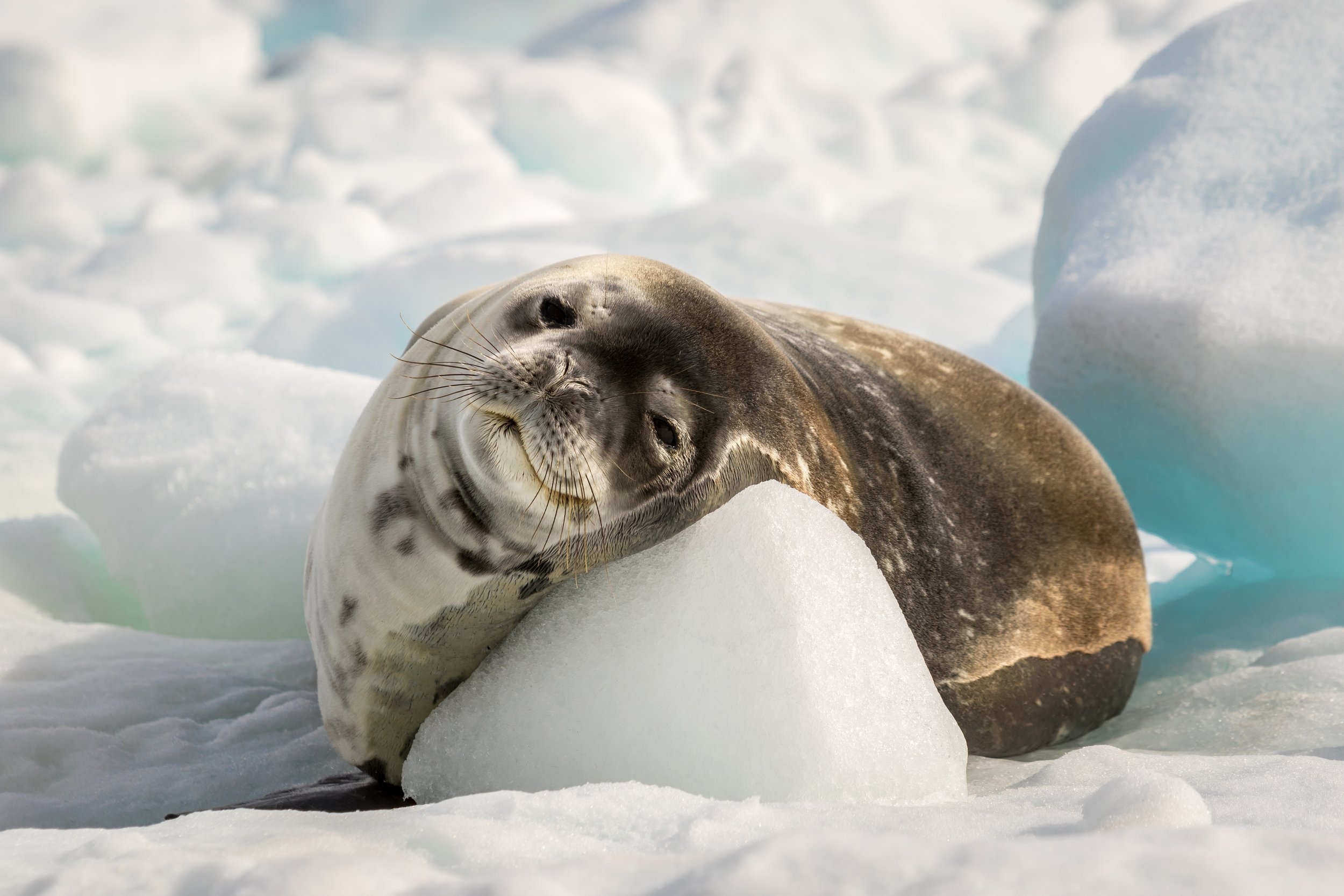 AdobeStock_359202387.jpeg