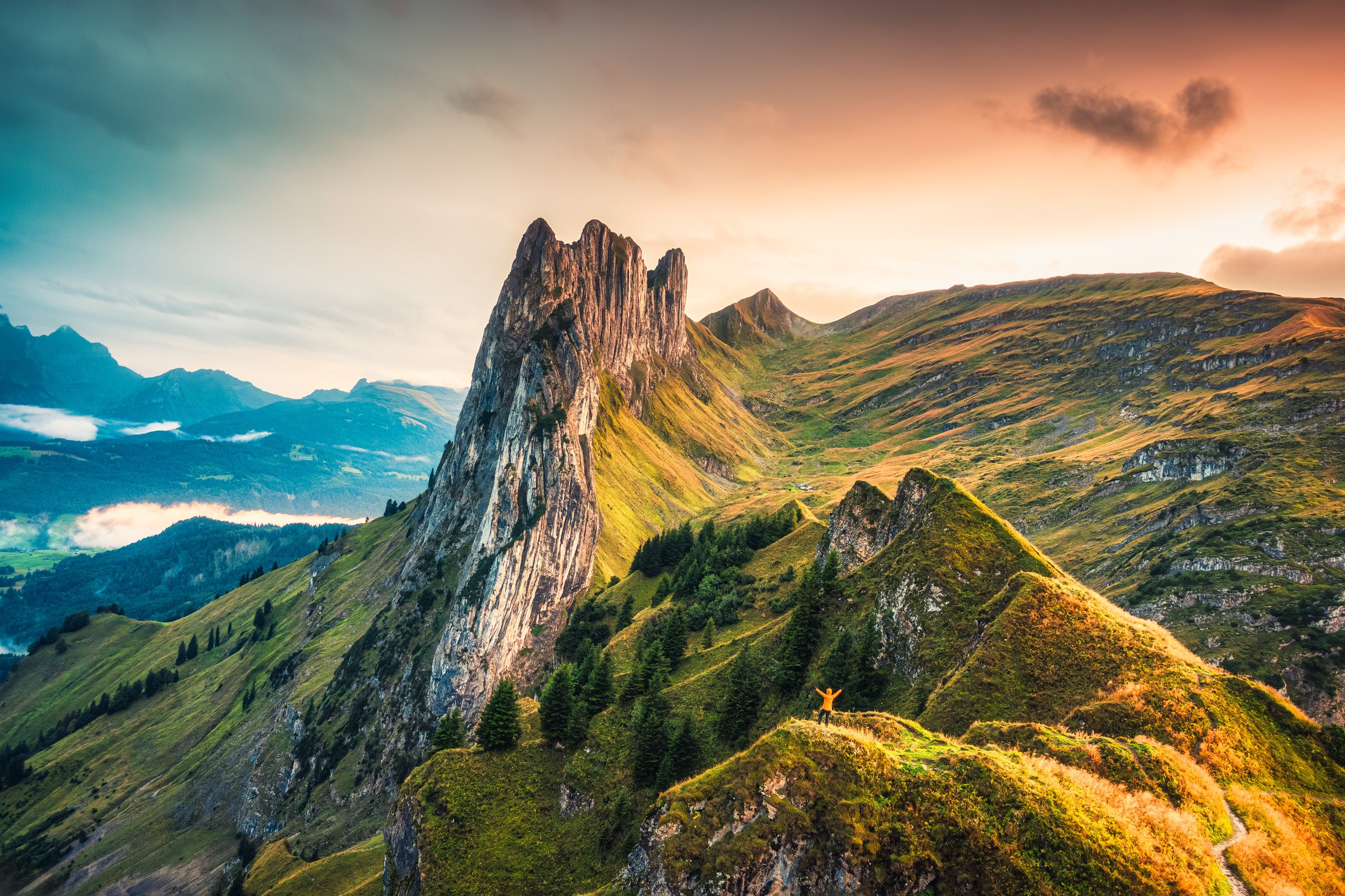 AdobeStock_671482914.jpeg