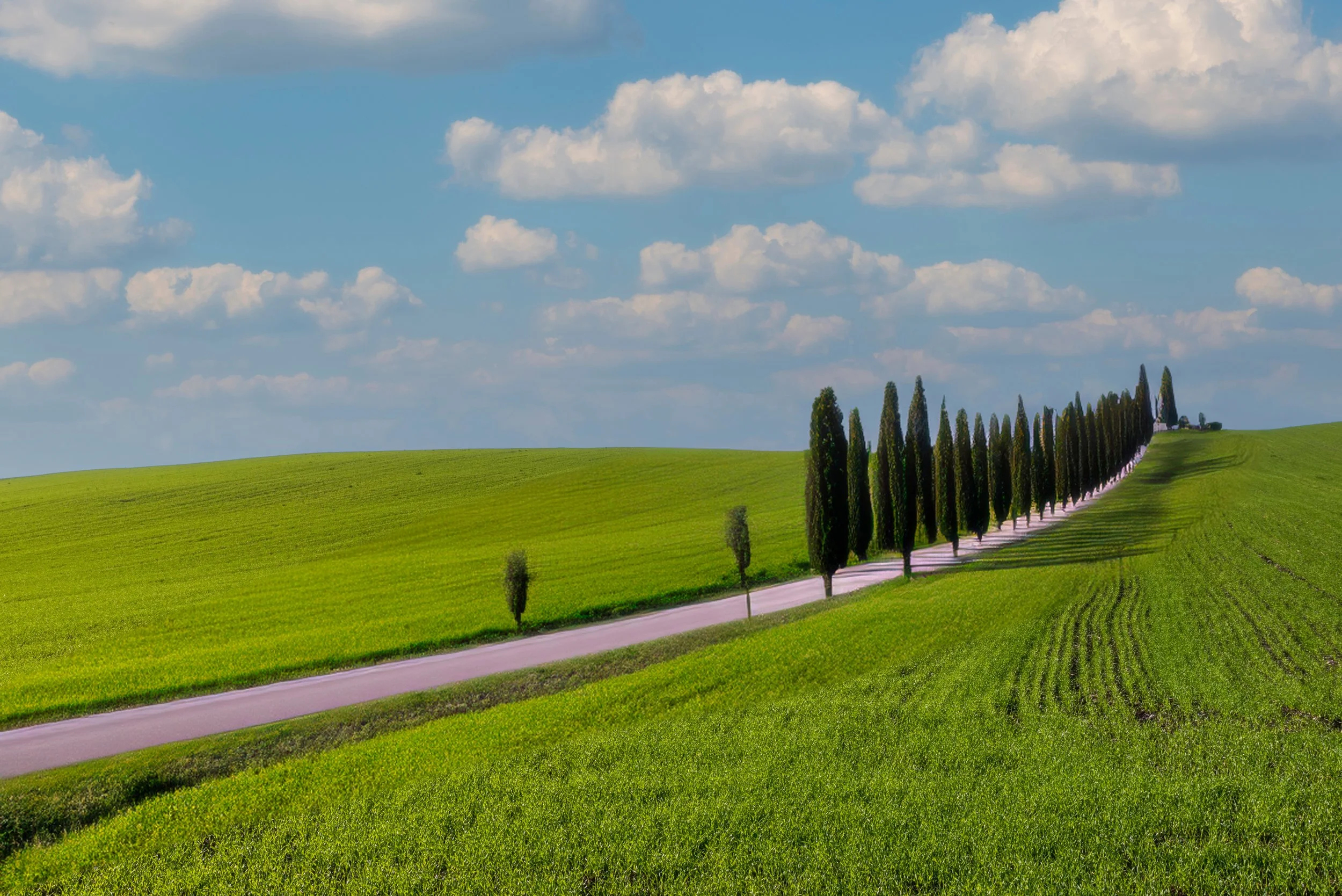 Green rolling hills with a winding road lined by tall cypress trees under a partly cloudy blue sky.