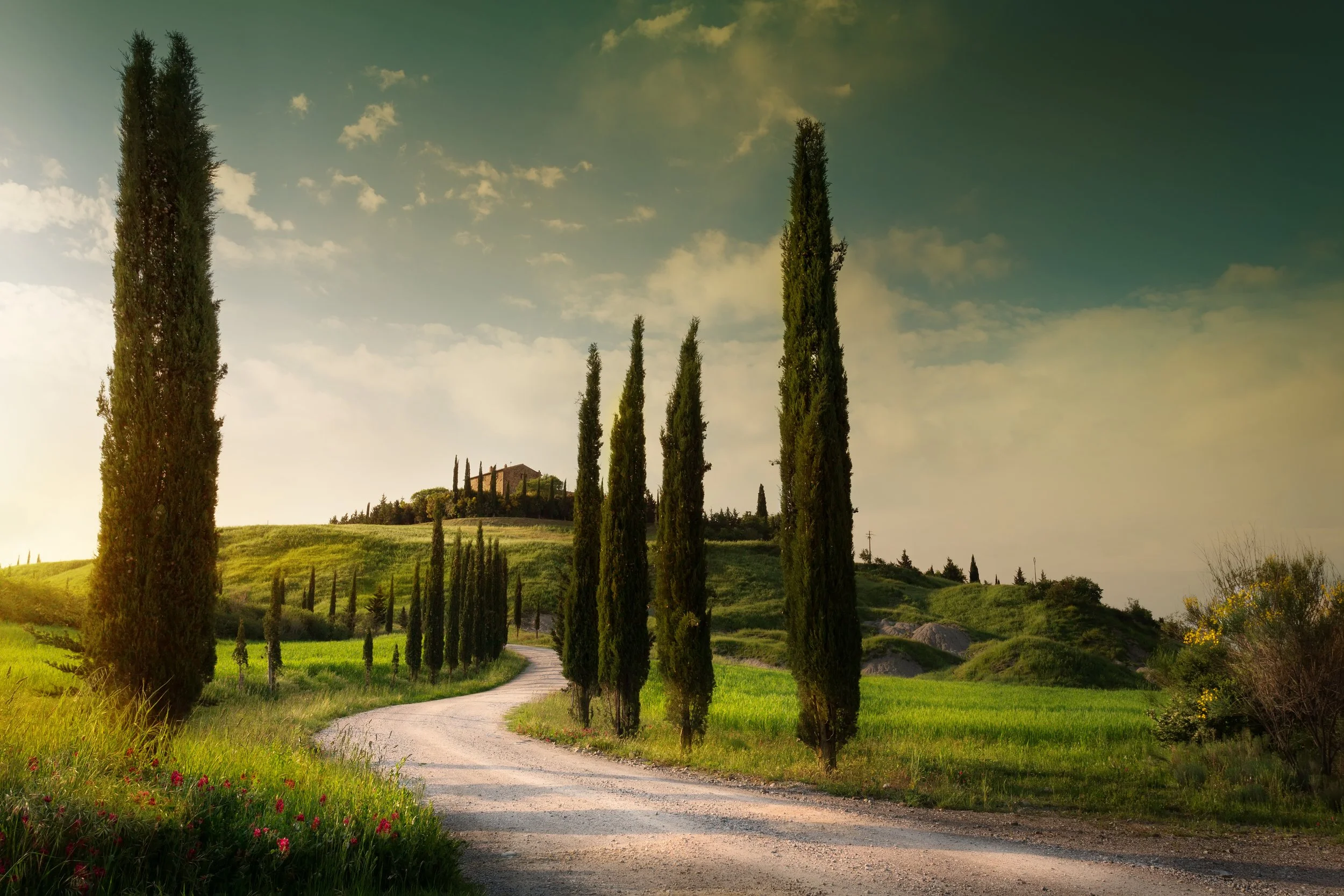 A winding dirt road lined with tall cypress trees on a lush green hillside during daytime with partly cloudy sky.
