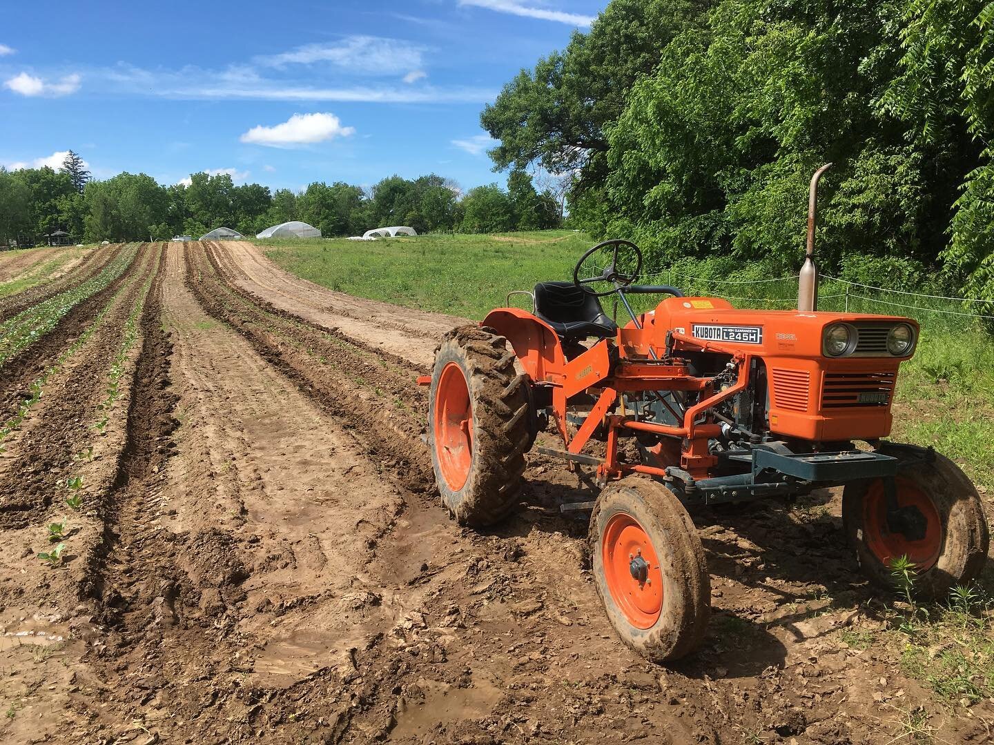 Orange tractor in plowed field under blue sky