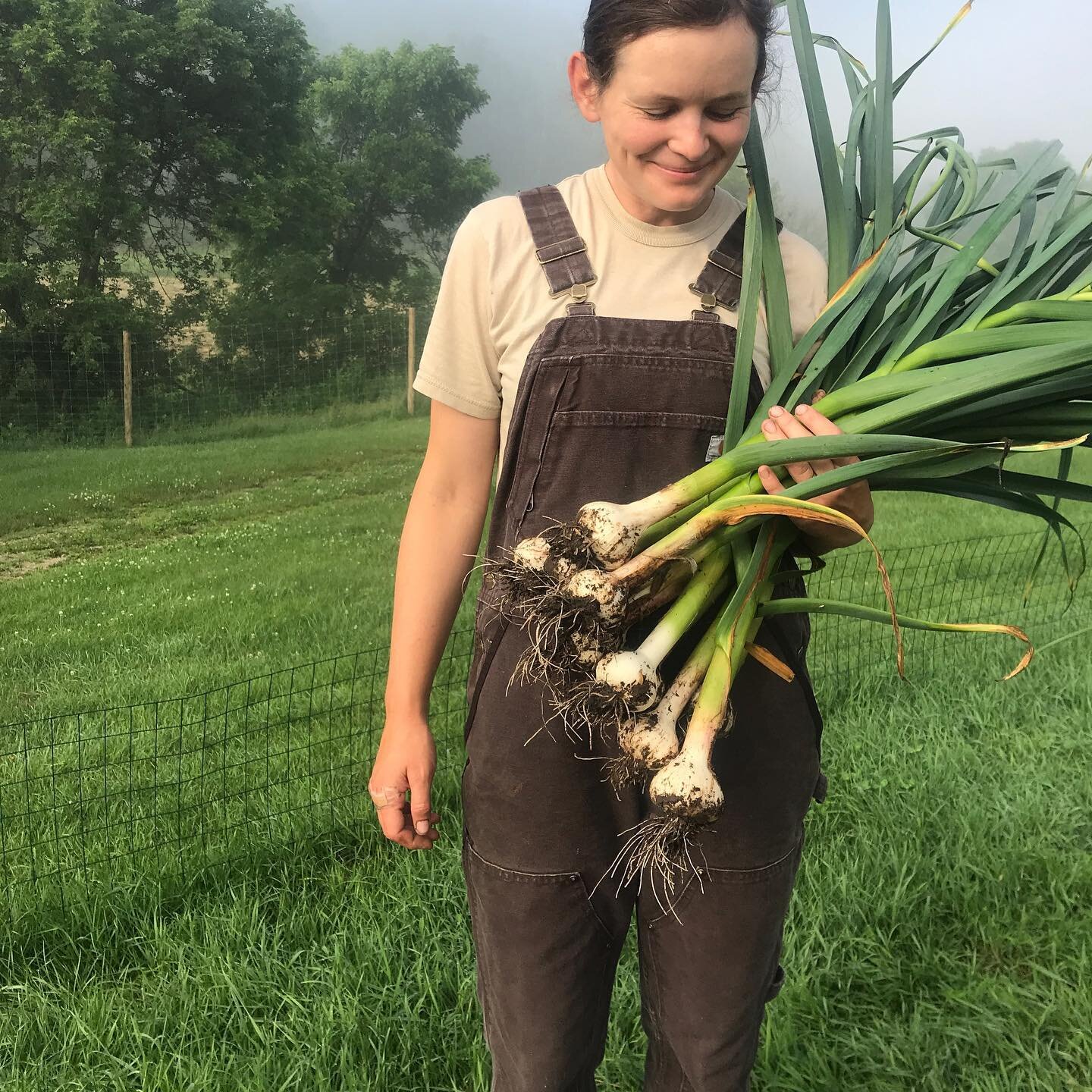 Person holding leeks in a field