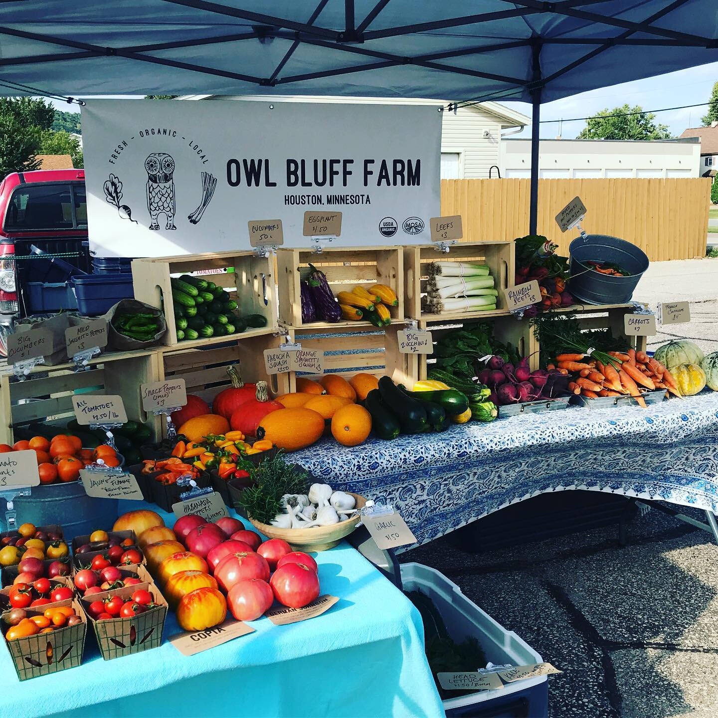 farmers market tables of tomatoes with Owl Bluff Farm sign