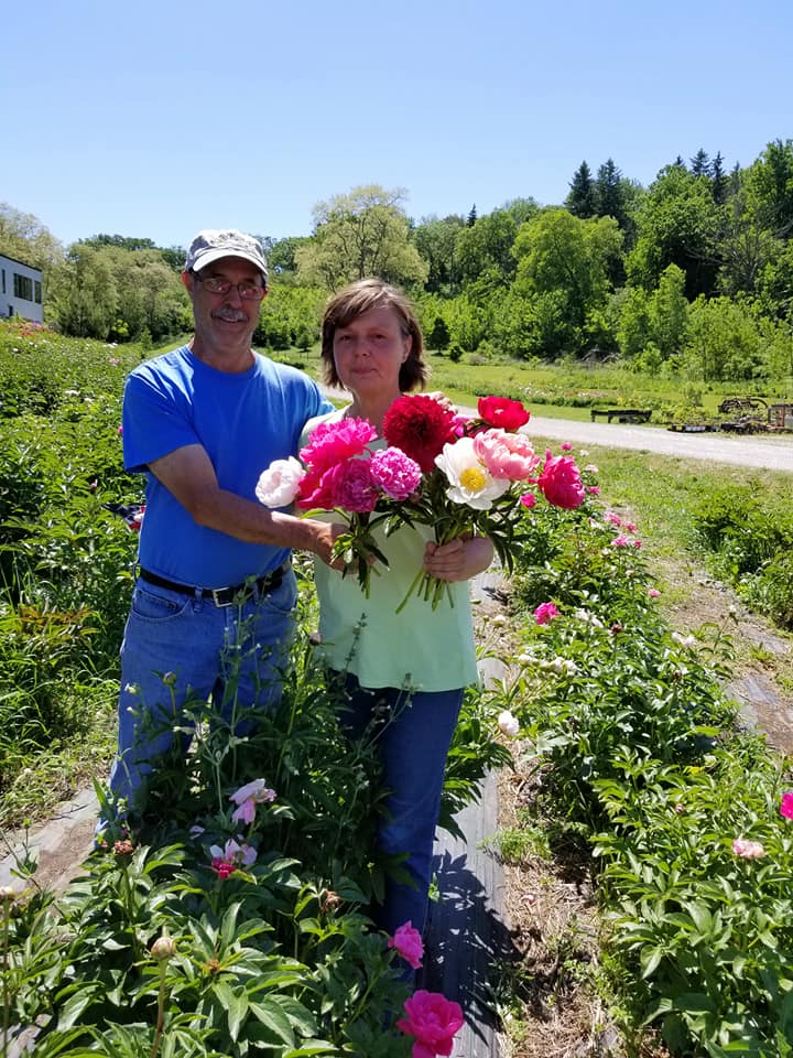 Two people holding colorful peonies