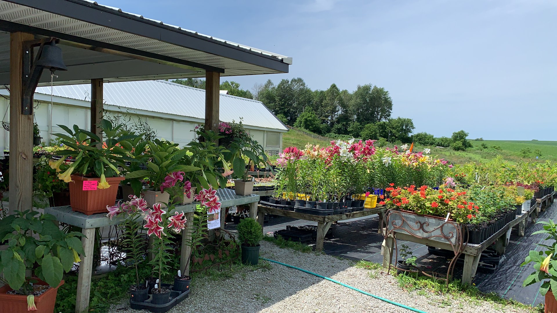 Market stand of flowers and plants
