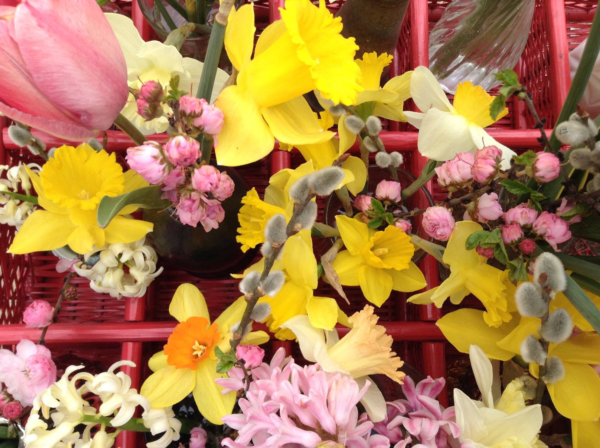 container of daffodils and tulips