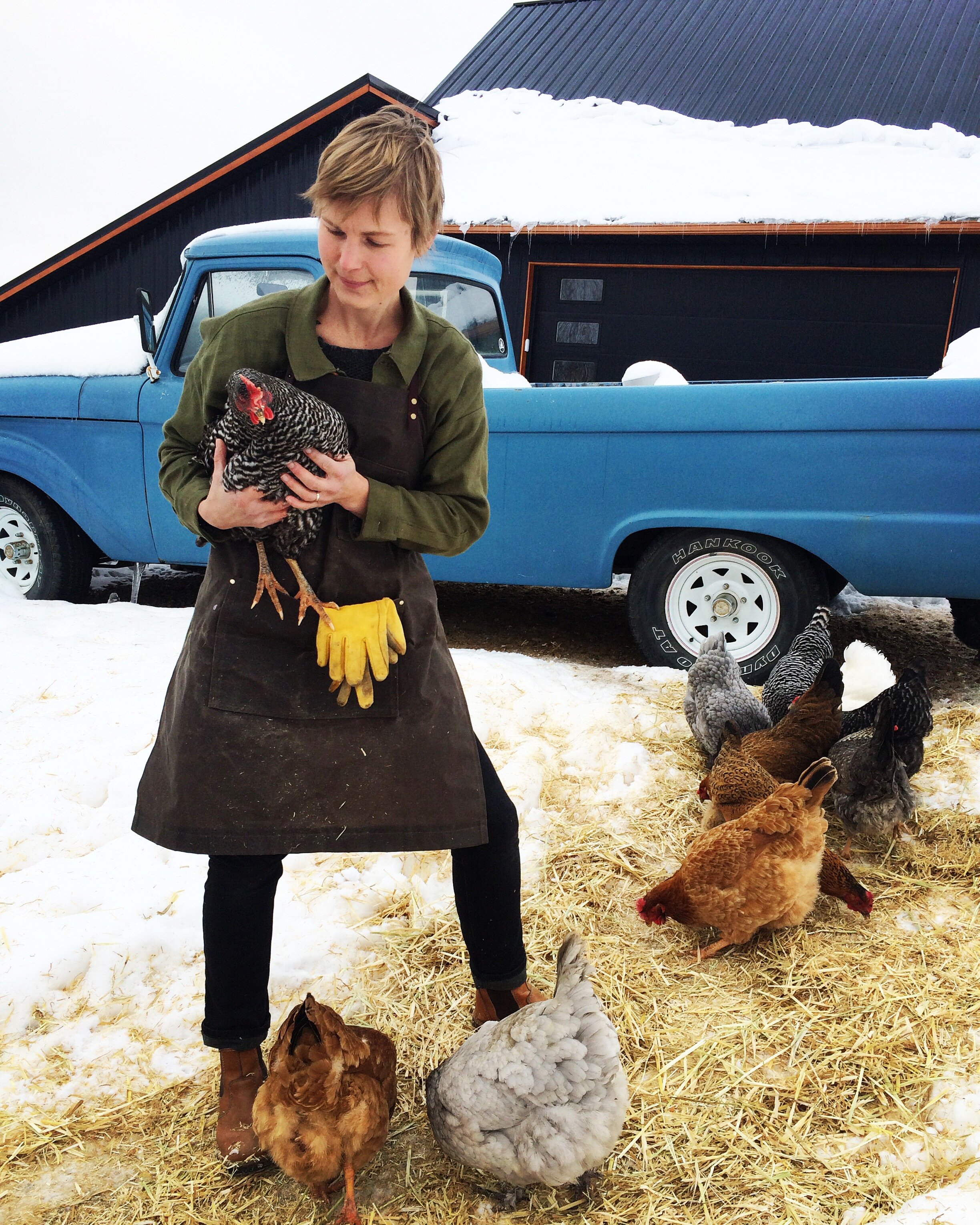 Person holding chicken in front of old blue truck