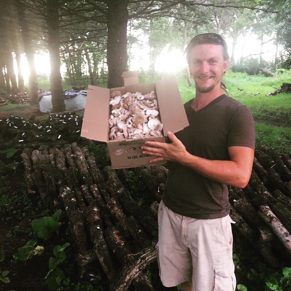 person holding box of mushrooms
