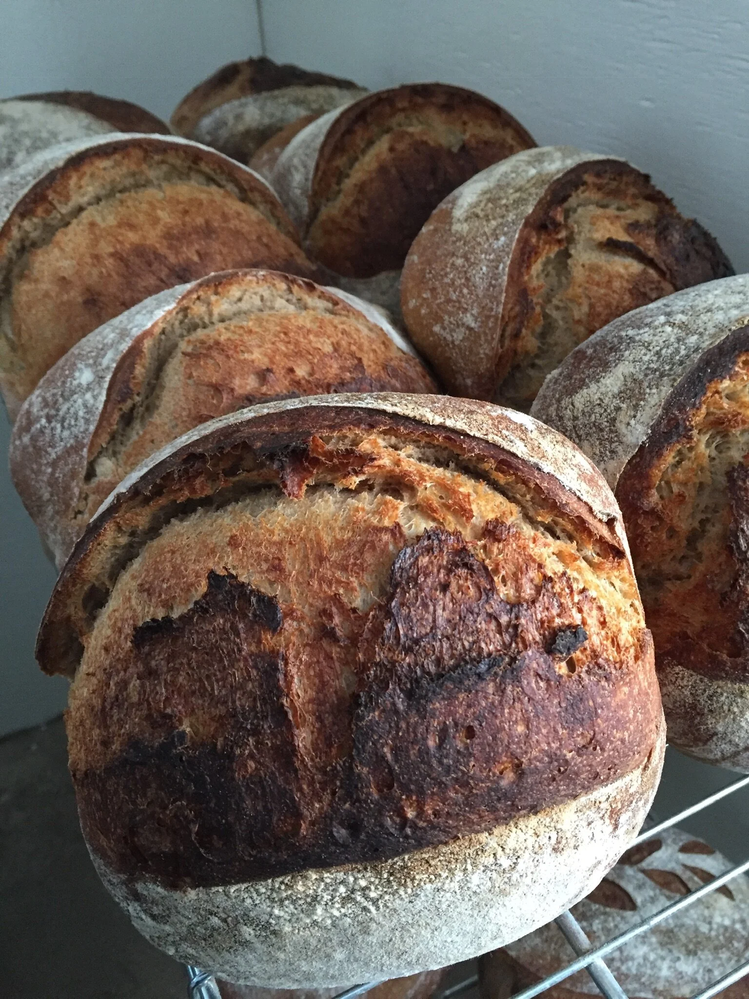 Devon ballinger - 54BADADE-56B5-48DE-B169-CB54ABF1F9BA.jpeg