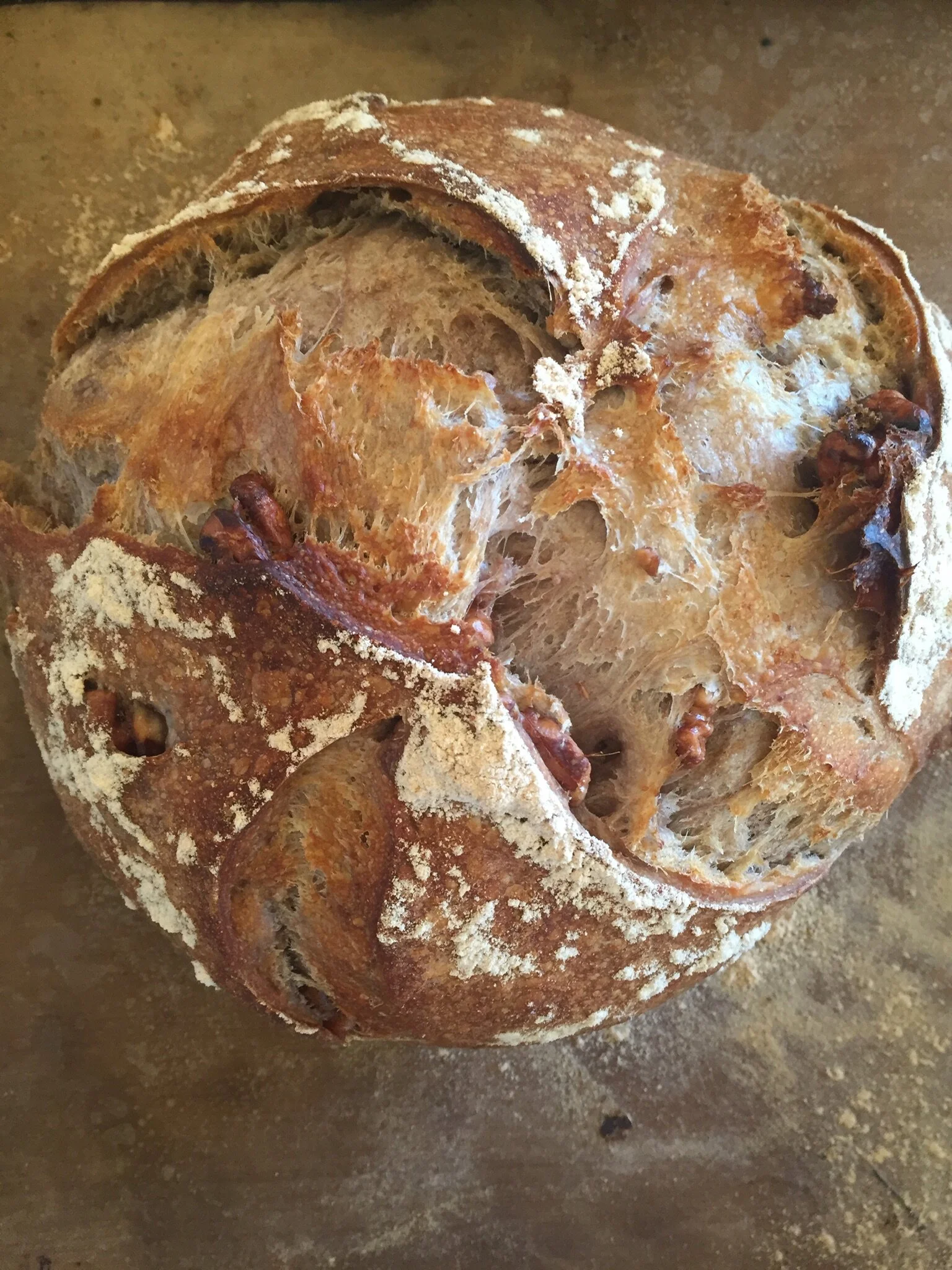 Devon ballinger - 1848E93D-5051-44D0-AB94-B1C2D8C274FC.jpeg