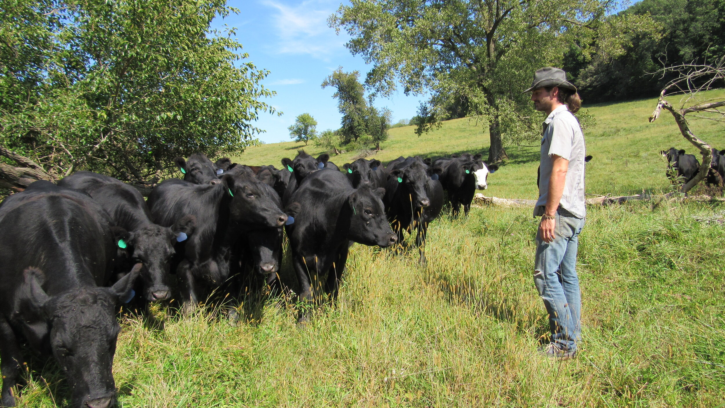 McGreal Family Farm