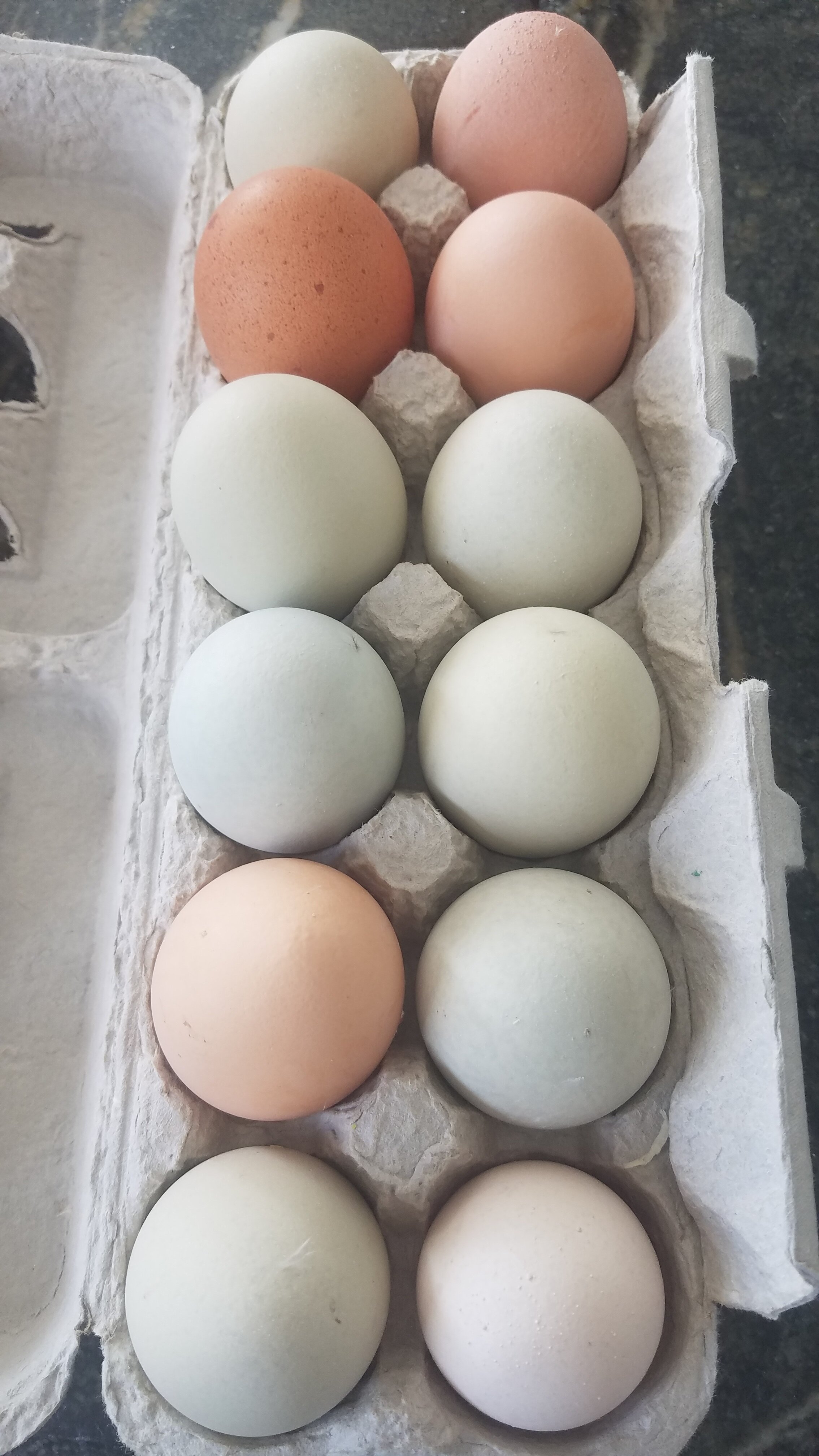 dozen eggs