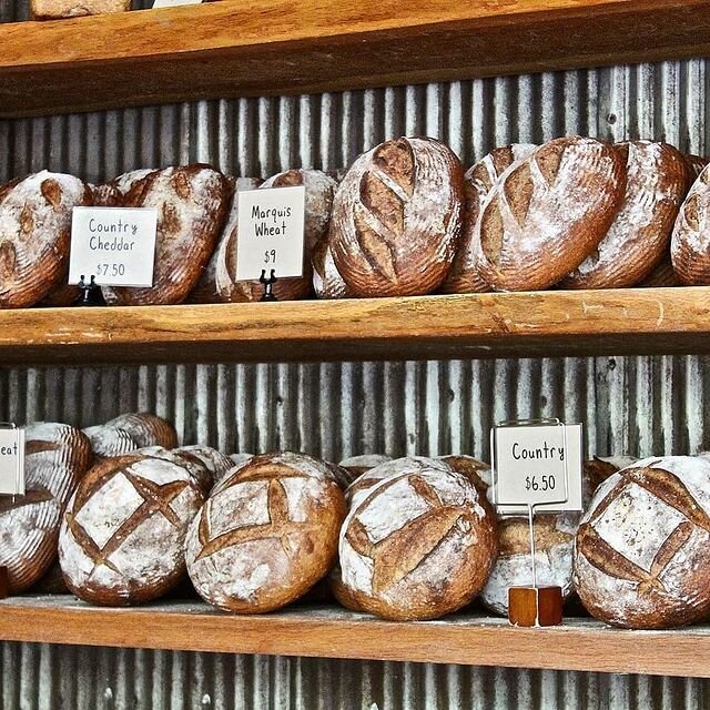 Full shelves of fresh baked round loaves