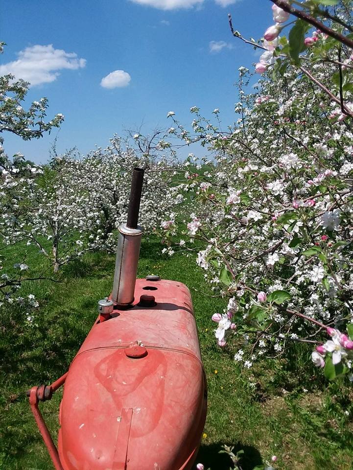 Peake Orchards