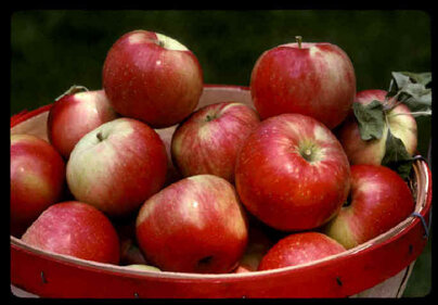 apples