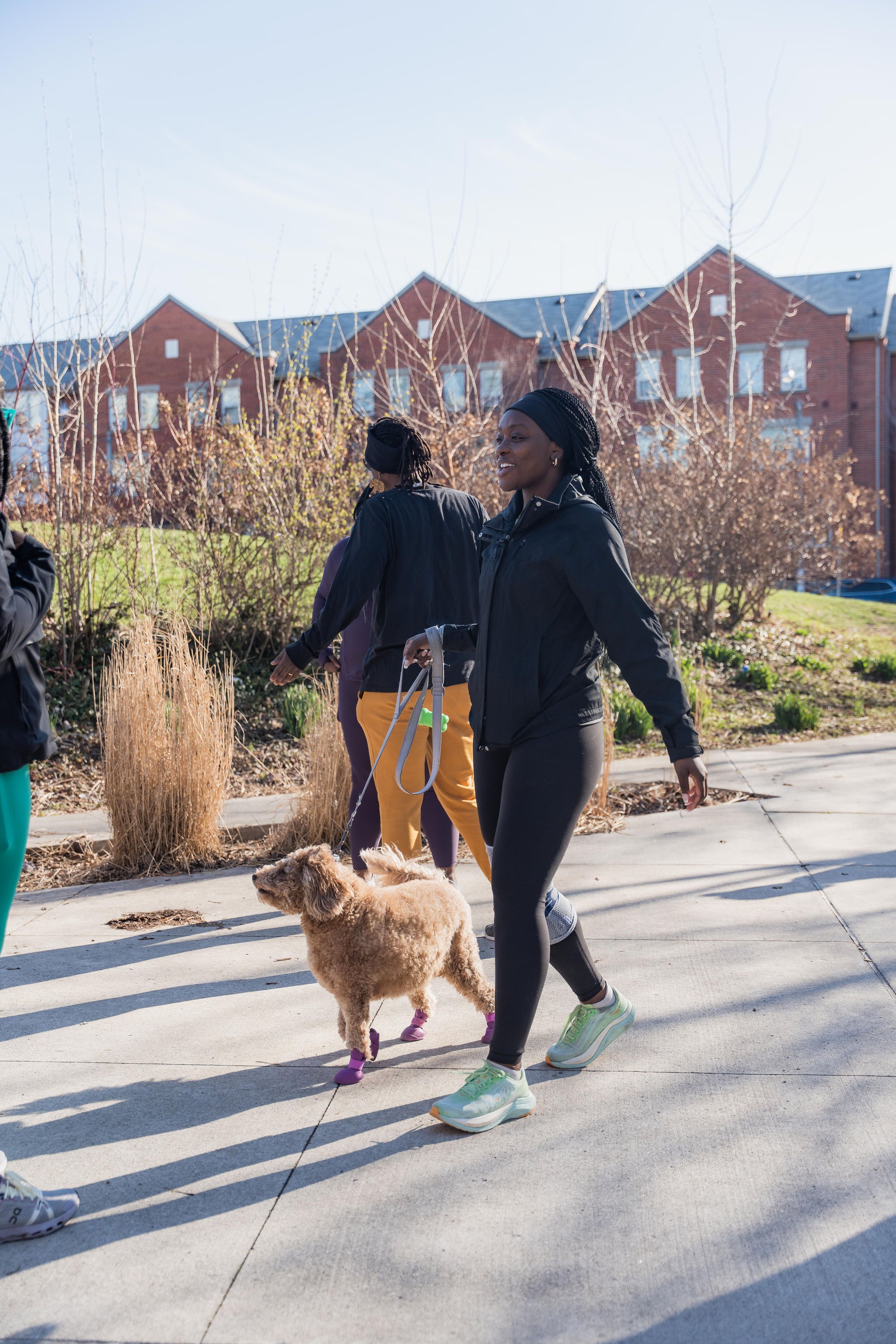 People walking outdoors with dogs on a sunny day, with residential buildings in the background.