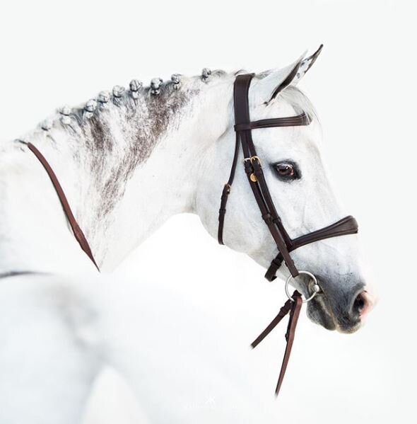 Photo: Kaitlyn Karssen