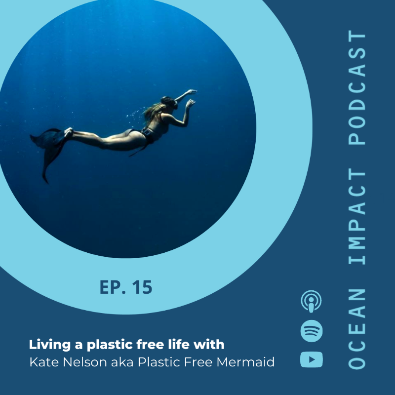 Kate Nelson Net Worth 2025: Plastic-free Mermaid’s Oceanic Earnings