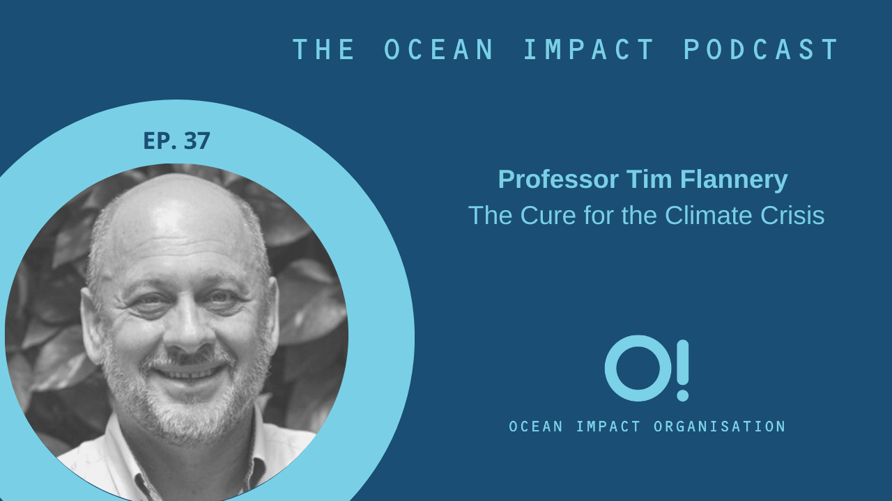 Original Troende Udvidelse EPISODE 37 - PROFESSOR TIM FLANNERY ON THE CURE FOR THE CLIMATE CRISIS —  Ocean Impact Organisation