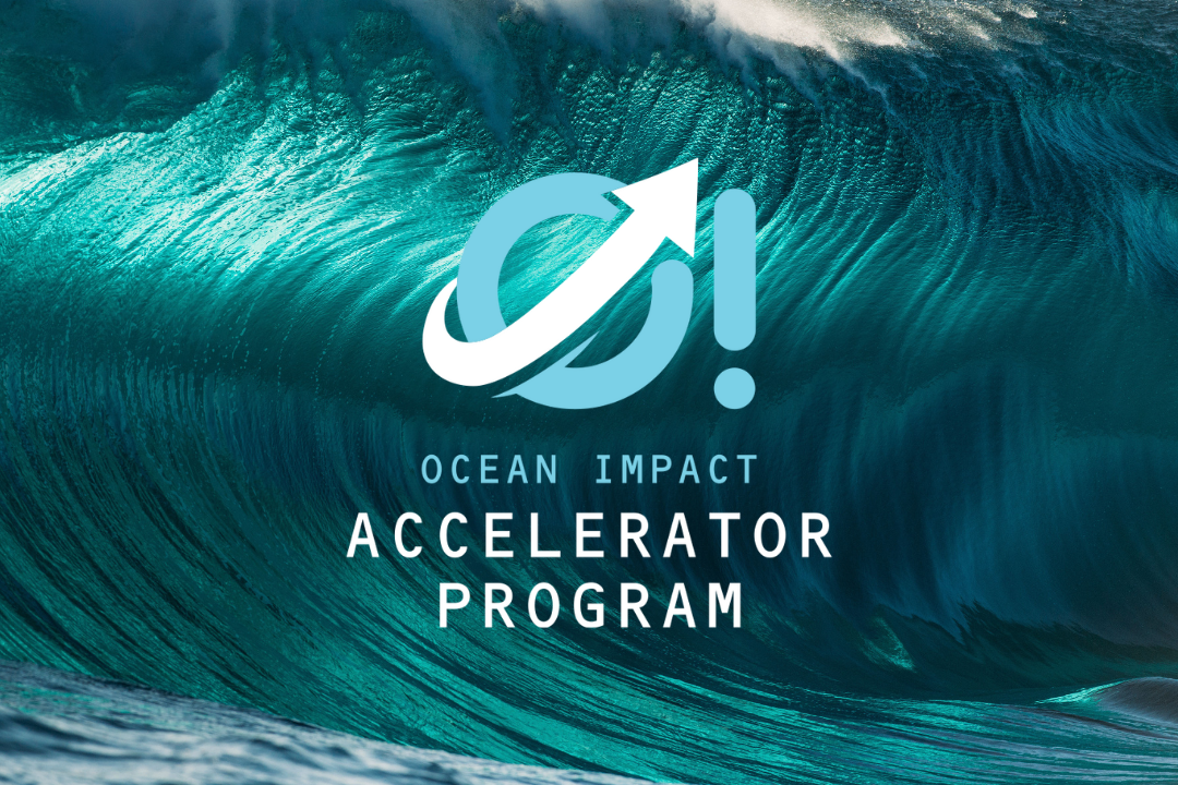 Website Homepage Template  Program Carousel Image-2.png